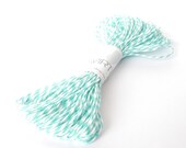 SALE 60% OFF WAS 5.00 baker's twine: 20 yards of turquoise and white string