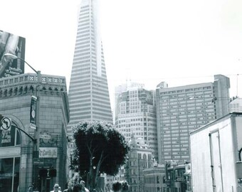 PRINT - Transamerica Pyramid, San Francisco, CA