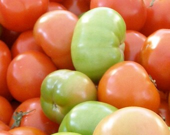 Red and Green Tomatoes - Print