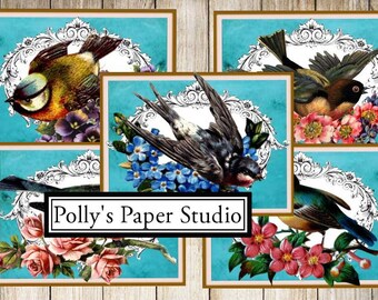 Beautiful Birds Collage Digital Images printable download file 6 images