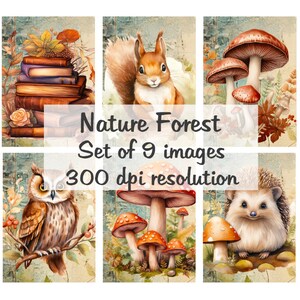 Naturaleza Bosque Imágenes Collage Imágenes Digitales archivo de descarga imprimible 9 Imágenes 300 DPI Polly's Paper Studio