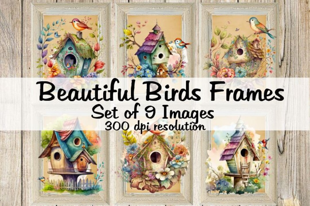 Beautiful Birds Frames Collage Digital Images Printable Download File 9 ...