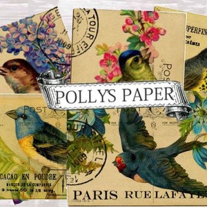 French Post Card Birds Digital Images printable download file 8 images image 1