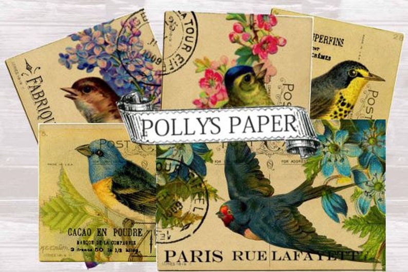 French Post Card Birds Digital Images printable download file 8 images image 1