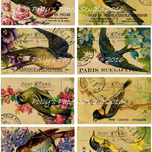 French Post Card Birds Digital Images printable download file 8 images image 2