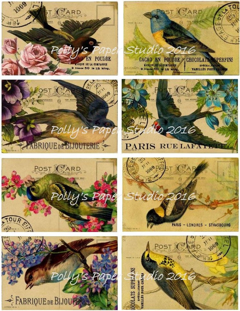 French Post Card Birds Digital Images printable download file 8 images image 2