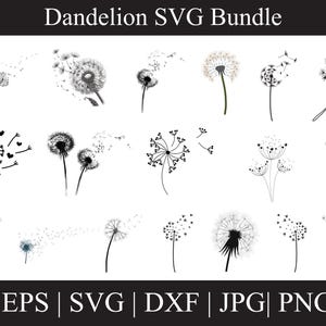 Dandelion SVG, Dandelion Svg, Dandelion Vector, Dandelion Cricut, Dandelion Clipart, Instant Download, Digital Download, Flowers Silhouette