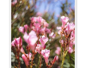 Framed Matte Print: The One - Ready to Hang