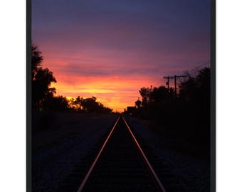 Framed Matte Print: 'To The Light' - Ready to Hang