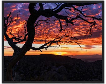 Chiricahua Sunset | Wood Framed Premium Matte Print