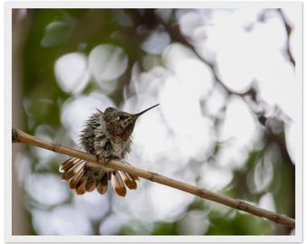 Dreamy Stretch | Wood Framed Matte Print