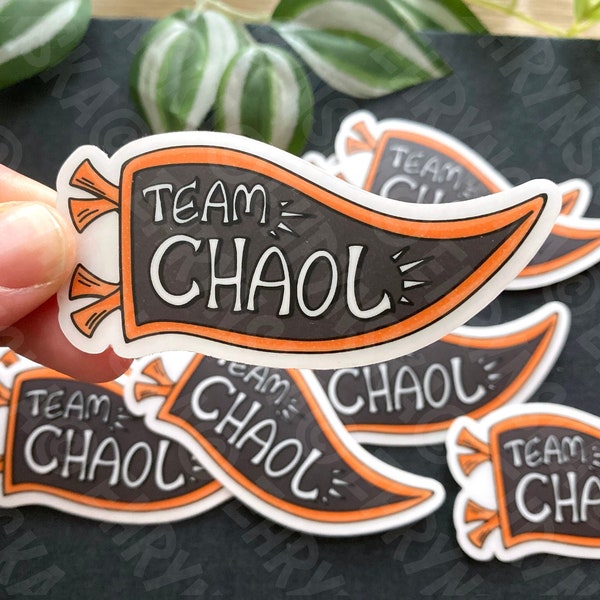 Throne Of Glass Team Chaol Flag Pennant Clear Vinyl Sticker - Officially Licensed SJM Merch