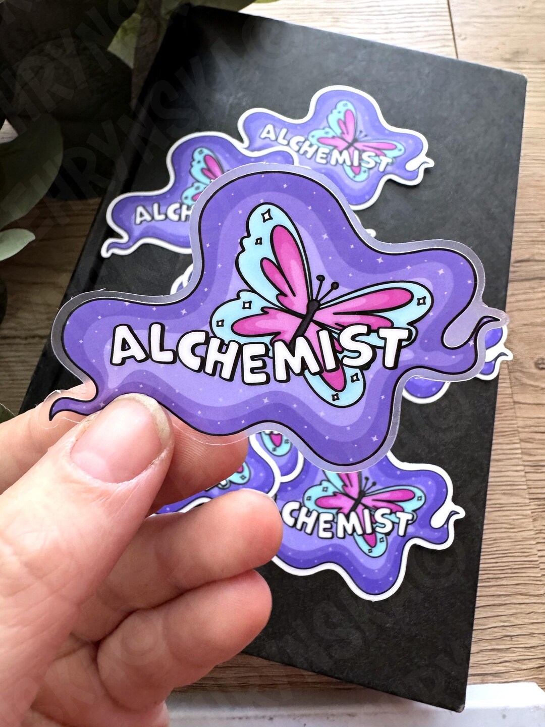 Quicksilver Brimstone Saeris Fane Alchemist Little Osha Butterfly 3x2 ...