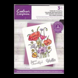 Crafter's Companion Forever Thankful 3 set di timbri