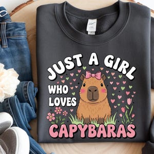 May include: Dark gray sweatshirt with the text "JUST A GIRL WHO LOVES CAPYBARAS" in white and pink. The design features a cartoon capybara with a pink bow, surrounded by hearts and flowers.