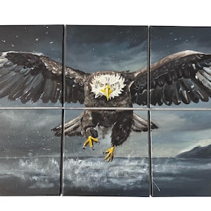 Painting bald eagle