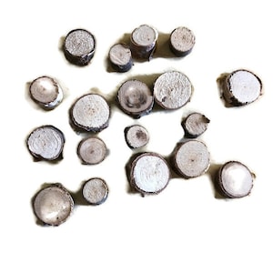 Wooden Crafting Button Disc Mix Lot of 18, Real Wood Slices With Bark, Natural Tree Wood Slices