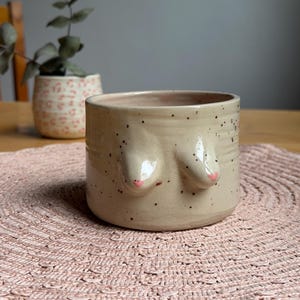 Peut inclure: Un pot de plante en céramique beige avec une finition tachetée et deux éléments en forme de seins avec des accents roses. Le pot est posé sur un dessous de plat rose tressé. Un autre petit pot avec un motif rose et blanc est en arrière-plan.
