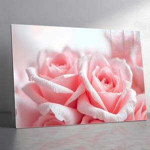May include: A close-up image of a pink rose print. The rose petals are a soft pink with white edges, creating a delicate contrast. The image is a close-up, highlighting the intricate details of the flower's layers and texture. The overall aesthetic is soft and romantic.