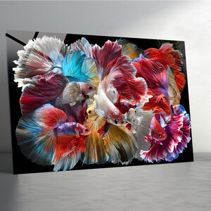 May include: A vibrant artwork featuring a cluster of colorful betta fish. The fish display a spectrum of colors, including red, blue, white, and yellow, with flowing fins. The background is black, enhancing the vivid colors of the fish.