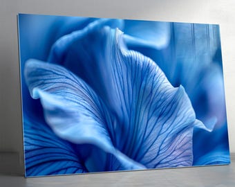 Blue Flower Petal Tempered Glass Wall Art – Panoramic Panel