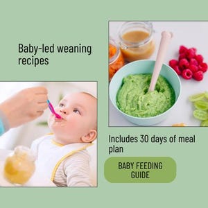 baby food recipe,eating habit love,baby cookbook,puree allergen,month baby led