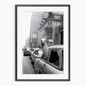 A Llama in Times Square, Inge Morath, New York 1950s, Vintage Analog Photography, Black and White Wall Art, Museum Quality Photo Art Print