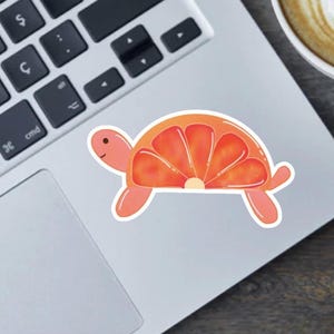 Grapefruit Scheibe Schildkröte - Handgezeichneter süßer Obst Tier Aufkleber, Magnet oder Autoaufkleber - Procreate Art - Kawaii Zitrus Schildkröte Vinyl Dekor