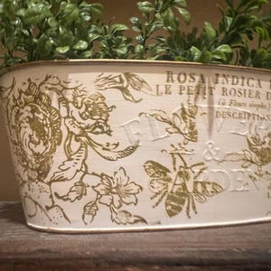 May include: Cream-colored oval planter with gold floral and bee designs, and text. The planter is filled with green leafy plants. The text includes "ROSA INDICA PUMILA" and "FLOWERS & GARDEN".