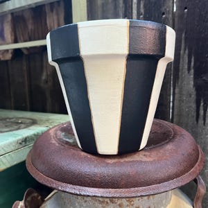 May include: A black and white striped ceramic flower pot. The pot has alternating vertical stripes of black and white, with a gold accent between the stripes. The pot is sitting on a rusty metal surface.