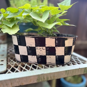 Puede incluir: Una jardinera ovalada a cuadros blancos y negros llena de una planta de hojas verdes. La jardinera tiene las palabras "& JARDIN" impresas en la parte delantera. Se encuentra sobre una estantería metálica.