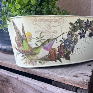 May include: An oval cream-colored metal planter featuring a printed graphic of a hummingbird in flight, purple and blue flowers, and vintage-style script text that reads Sibthorpiana, Centurie Decime, and Flowers Garden in black and brown ink.