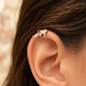 May include: A silver-toned ear cuff shaped like a small frog with a smooth, metallic finish. The frog is positioned on the upper cartilage of the ear, with its front legs and hind legs extending along the edge of the ear to secure the piece in place.