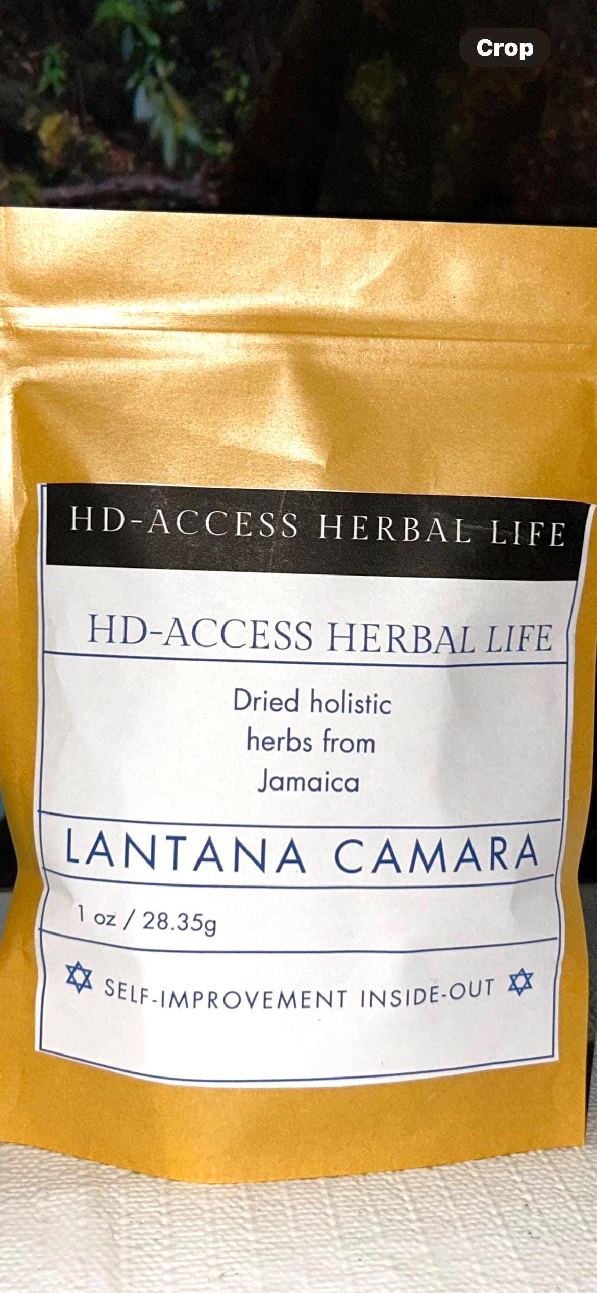 Lantana Camera from Jamaica
