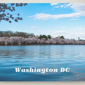 Washington DC Postcards