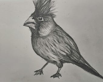 Signed Cardinal Art Print – Limited Edition Giclée, 8x10
