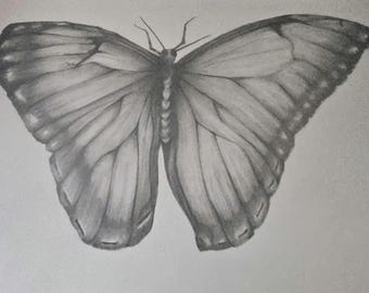 Butterfly Art Print – Signed & Numbered Limited Edition