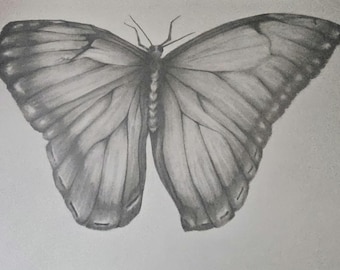 Limited Edition Butterfly Art Print – Signed & Numbered