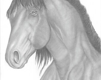 Impresión artística de caballo de edición limitada: firmada y numerada en Giclée
