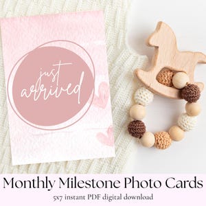 Baby Monatliche Meilenstein Karten Printable | 0–12 Monate Fotorequisite | Druckbare Säugling Memory Andenken | Säugling Mädchen | Digitaler Sofort Download
