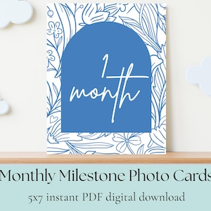 Cartes d'étape mensuelles pour bébé à imprimer | Accessoire photo de 0 à 12 mois | Souvenir imprimable pour bébé | Nouveau-né | Téléchargement numérique instantané