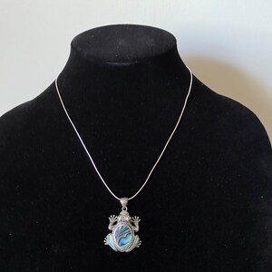 May include: A silver chain necklace with a silver frog pendant featuring a blue and green abalone shell inlay.