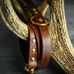 Könnte beinhalten: Nahaufnahme einer braunen Leder-Hundeleine mit Messingbeschlägen, einschließlich Nieten und einem großen Ring. Die Leine ist um ein strukturiertes Geweih gewickelt, mit den Initialen "GD" auf dem Leder. Der Hintergrund ist dunkelgrau.