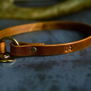 Collar de identificación para perros de cuero hecho a medida: cuero de plena flor color marrón claro.