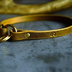 Puede incluir: Primer plano de un collar de perro de cuero dorado con un anillo y cierre de latón. El collar tiene un diseño estampado y un remache de latón. El fondo es de color neutro borroso.