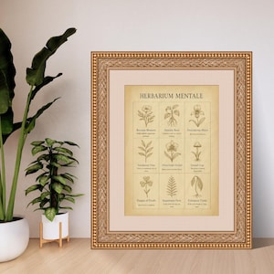 Herbier mental - oeuvre d'art murale botanique vintage représentant des plantes émotionnelles fictives - Tableau humoristique imprimable