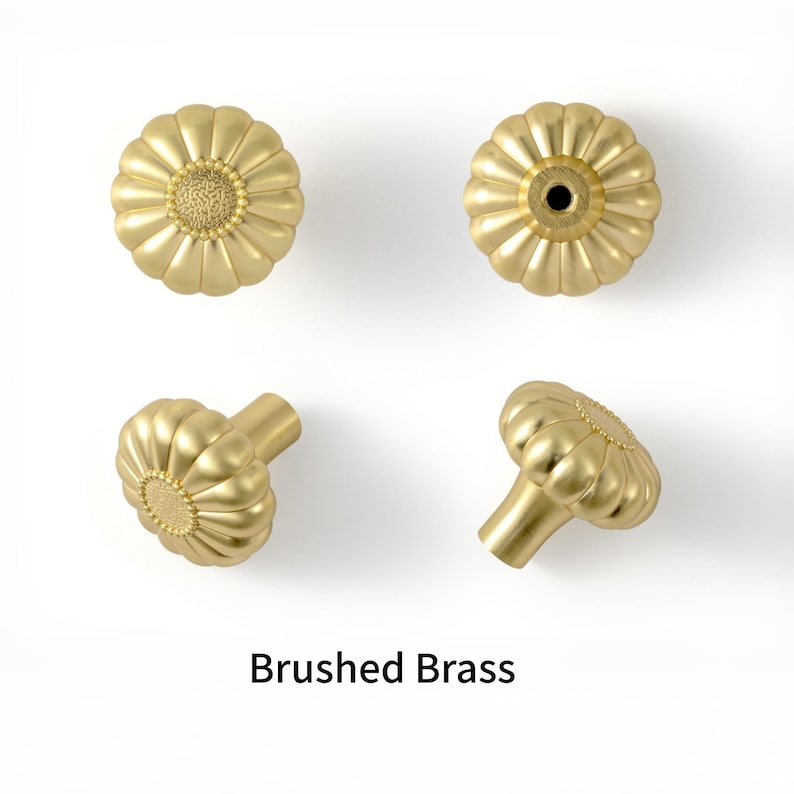 May include: Four brushed brass cabinet knobs with a scalloped, flower-like shape and a textured center. The knobs are shown from multiple angles, including front and side views, with the text Brushed Brass displayed at the bottom.
