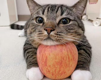 Verzendkosten upgraden