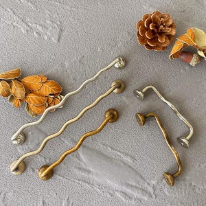 Può includere: Una collezione di pomelli decorativi per mobili in varie finiture metalliche, tra cui argento, oro e bronzo. I pomelli hanno un design ondulato e organico con estremità arrotondate. L'hardware è esposto su una superficie grigia con elementi decorativi autunnali.