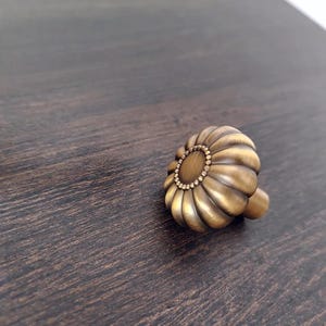 May include: A round, brass-toned metal cabinet knob featuring a fluted, pumpkin-like design with a central circular disc surrounded by a beaded border. The knob has a smooth, metallic finish with subtle highlights and shadows across its ridges.